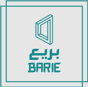 تقييم المباني المتضررة